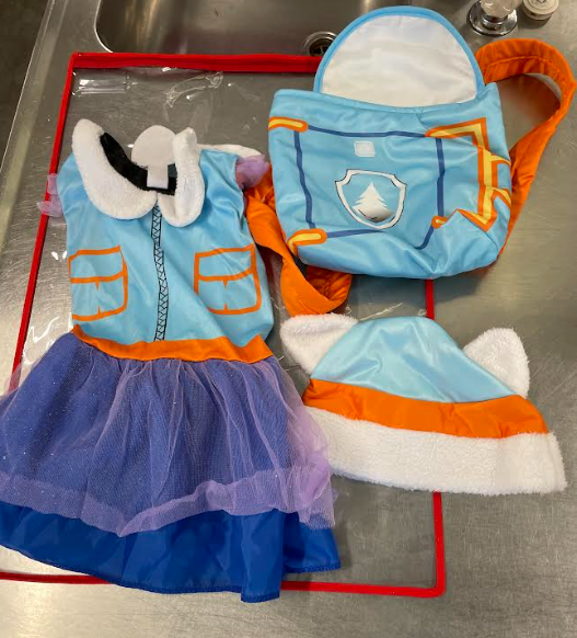 Everest paw patrol Costume