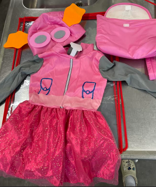 Skye paw patrol Costume